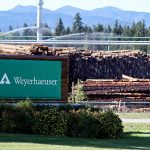 Weyerhaeuser increases dividend percent