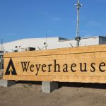 Weyerhaeuser receives approval of first forest carbon project