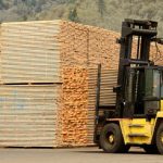 U.S. became largest importer of Swedish lumber after UK in 2022