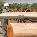 USDA grants for promoting wood usage
