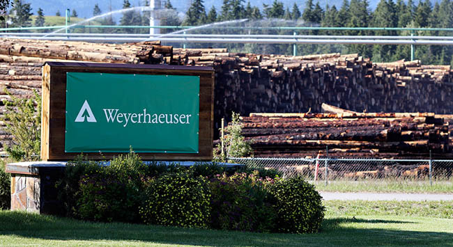 Weyerhaeuser