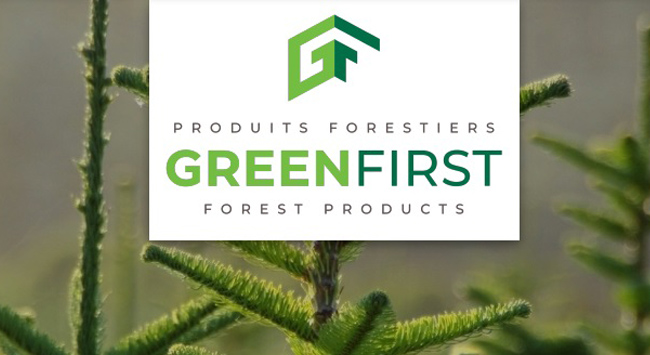 GreenFirst finalizes decentralization and names new paper mill CEO